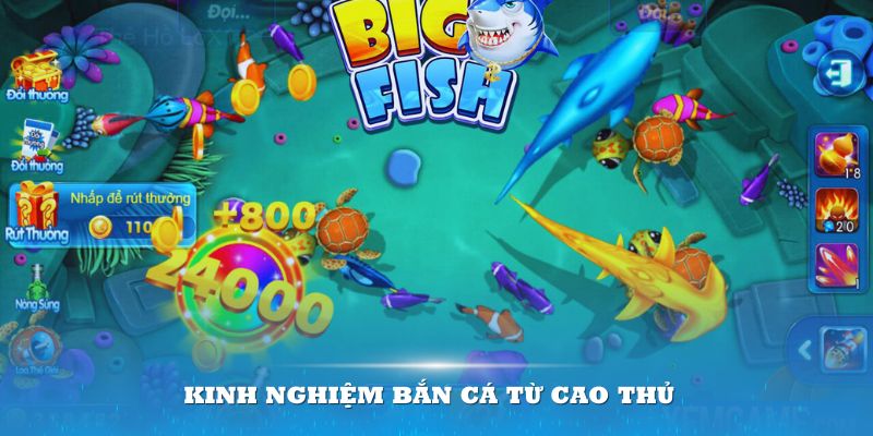 Áp dụng cách chơi game bắn cá vàng từ cao thủ để tối ưu cơ hội chiến thắng