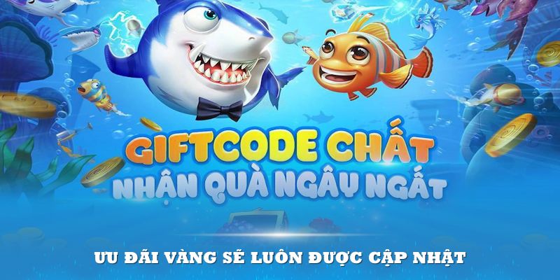 Các ưu đãi vàng sẽ luôn được cập nhật và mang đến trải nghiệm tuyệt vời cho bạn